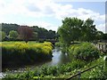 River Stour downstream at Wolverley in DY11 5UB