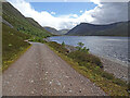 Track above Loch an t-Seilich in PH21 1NZ