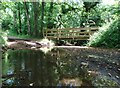 Ford and footbridge crossing The Moss in Ridgeway & Marsh Lane Ward