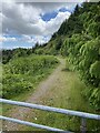 Forestry track towards Cwm Nant y Moel in CF32 7RG