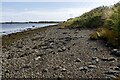 Mosaic of habitats on the edge of Montrose Basin, Angus in DD10 9TJ