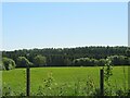 Pasture and woodland at Hill of Beath in KY4 9RH