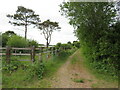 Public bridleway near West Parley in BH23 6BW