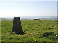 White Horse Hill trig point in DT3 6LU