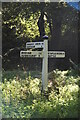 Roadsign, Ewhurst Lane in TN32 5RE