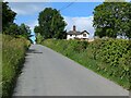 Looking up the lane towards Whitegates in SY16 3PN