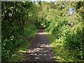 Footpath/cycle path on old rail line in EH29 9ER