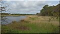 Lymington River channel and marshes in SO41 9BX