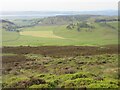 Fields south of King's Seat in PH14 9RF