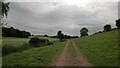 Bridleway below Frizor Hill in HG4 3DT