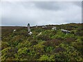 Unnamed Stones on Mid Fell in NE48 1EW