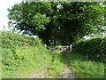 Gated track off Chapel Street in NR9 4BB