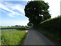Barford Road heading north towards Colton in NR9 4BB