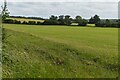 Field south of Westfield Farm in MK17 9FX