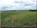 Grass field near Tirley in GL19 4HF