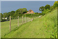 Footpath and pasture, Harting in GU31 5PA