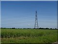 Pylon in a field of oilseed rape in Brandon Parva, Coston, Runhall and Welborne