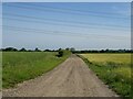 Track to Whitehouse Farm in Brandon Parva, Coston, Runhall and Welborne