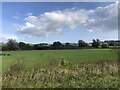 Grazing land near Llandenny in NP15 1DN