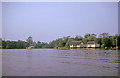 Wroxham Broad, Norfolk taken 1964 in NR12 8JE