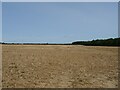 Field north of Mattishall Road in NR20 3LP