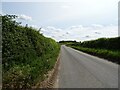 Mattishall Road towards East Tuddenham in NR20 3LP