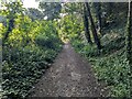 Path adjacent to Micheldever Road in SP10 2QE