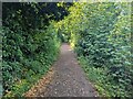 Ladies Walk footpath in SP10 2DJ