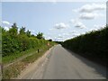Church Lane towards Easton in NR9 5DT