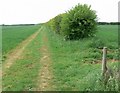 Footpath near Saltby in Leicestershire in LE14 4QF