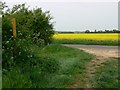 Footpath and road near Saltby in Leicestershire in LE14 4QF