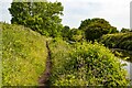 Leeds and Liverpool Canal in L31 4DF