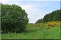 Corriemoan Burn in AB37 9DT