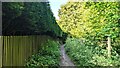 A footpath near Rothwells Farm in PR6 9HG
