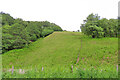 Looking towards Cnoc Lochy in AB37 9HD
