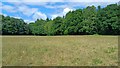 Interspersed woodland and grassland, East Tytherley in SP5 1PB