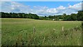 Field and woodland near Keepers Cottage in SO51 0LU