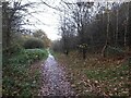 Footpath towards Dyke Vale Road in S12 4BN