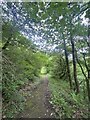 Footpath through the Garw valley in Garw Valley Community