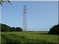 Pylon, Telegraph Hill in NR9 5AT