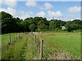Designated footpath looking towards farm gate and trees in TR3 7BD
