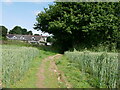 Farm field path leading to a small hamlet and former Trembroath and Pembroath Farms in TR3 7AX