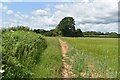 Path across fields west of Flinty Cottage in SP11 9JA