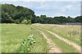 Track towards Nutbane Copse in SP11 0HJ