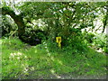 Fire hydrant post on a grass verge in TR3 7AX