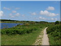 Footpath along the bank of Stithians Reservoir in TR3 7AP