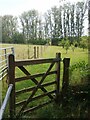 Gate on Ardleigh Footpath 23 Footpath in CO7 7QB