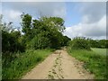 Farm track (footpath) heading west in NR20 3PG