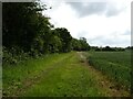 Farm track off Mill Road in NR20 3DG