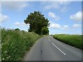 Tuddenham Road towards Swanton Morley in NR20 4LT